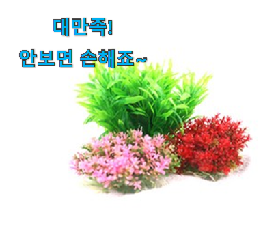 꼭 써봐야하는 수족관장식 신기한 목록 잘 샀다고 뿌듯함! 꼭 써봐야하는 수족관장식 신기한 목록 잘 샀다고 뿌듯함!