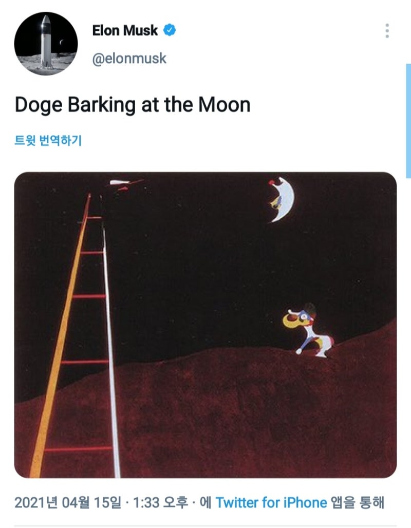 도지코인 머리끝에서 숏중입니다~ : 네이버 블로그