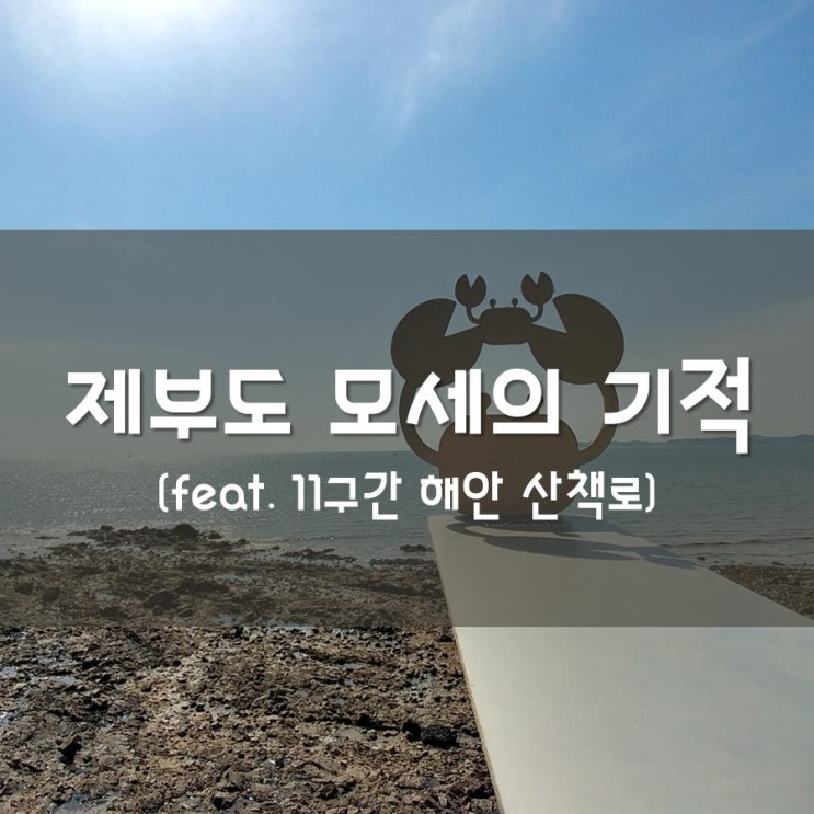  [제부도] 날씨 좋은 날 바닷길 열리는 해안길 드라이브 - 조개찜 보다 햇살 산책!