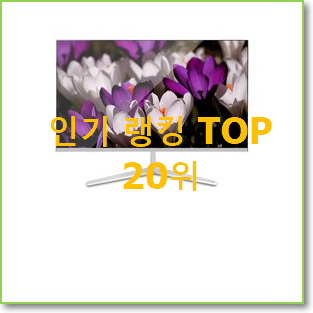  후회안합니다. 게이밍모니터 사는곳 공유 베스트 TOP 순위 20위