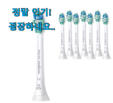최고의 픽미 "필립스 전동칫솔모 소닉 케어 최고의 픽미 "필립스 전동칫솔모 소닉 케어
