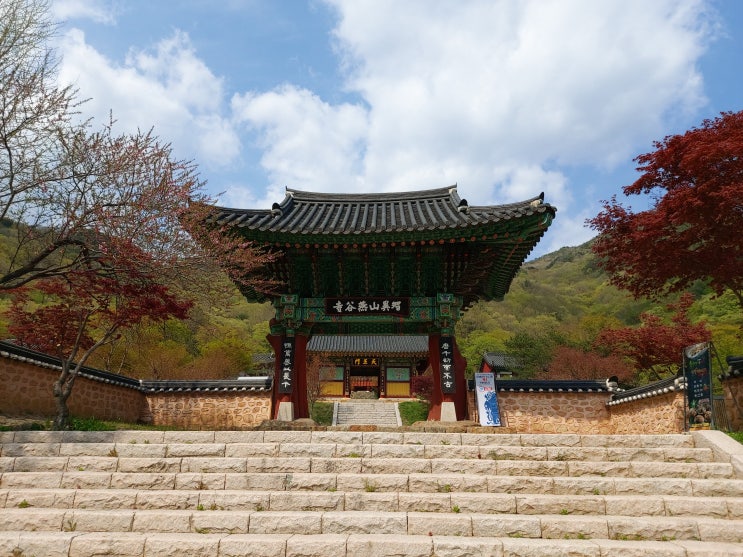  구례여행 구례가볼만한곳 연곡사