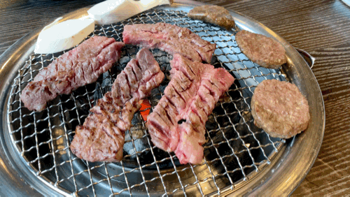 2021년 4월 셋째 주, 쩝쩝박사 요니의 일상 2021년 4월 셋째 주, 쩝쩝박사 요니의 일상