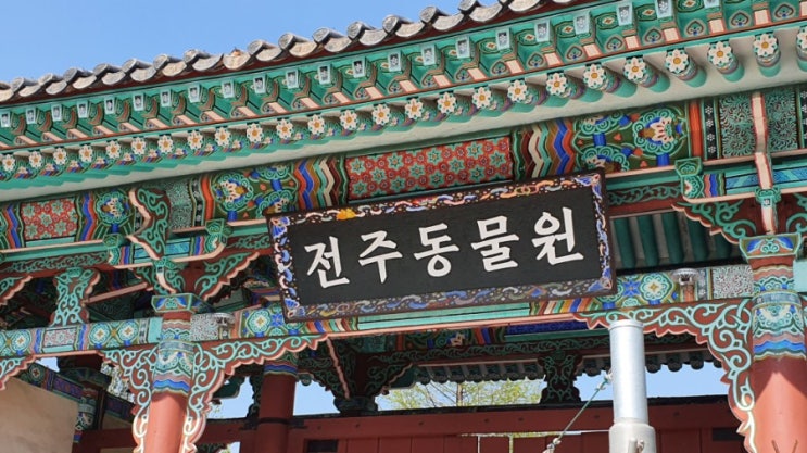  전주동물원, 튤립밭에서 인생샷 찍고 귀여운 동물도 봐요