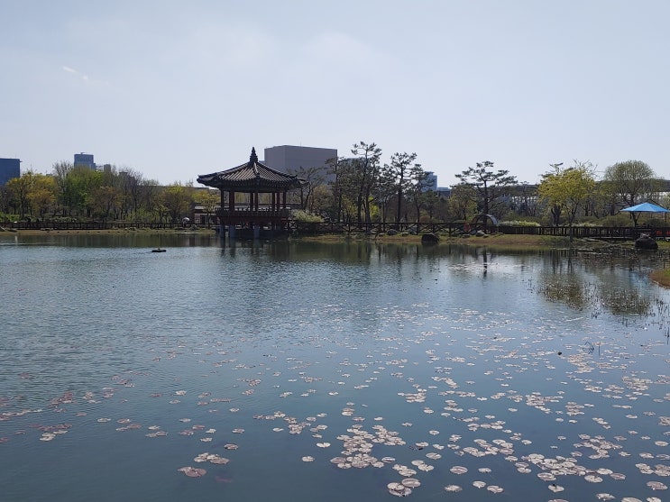 대전광역시 여행 (대전도심속의 한밭수목원)