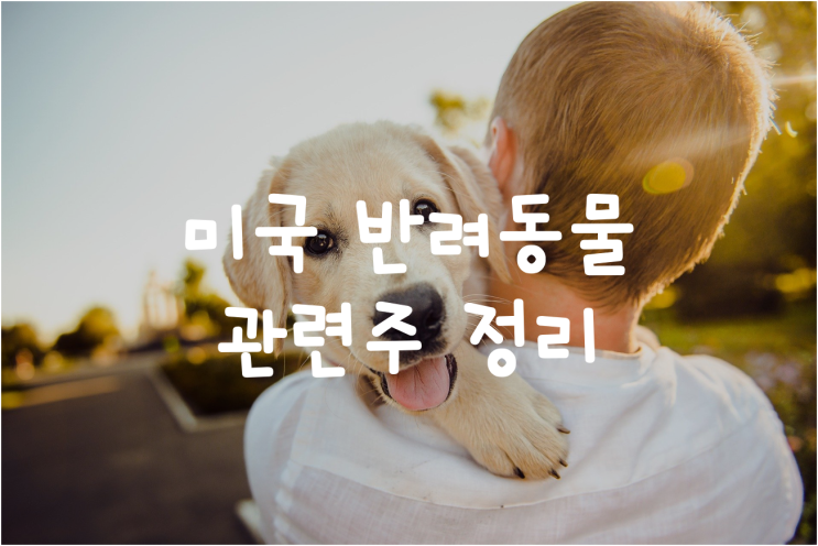  [미국 주식] 미국 반려동물 관련주 총 정리