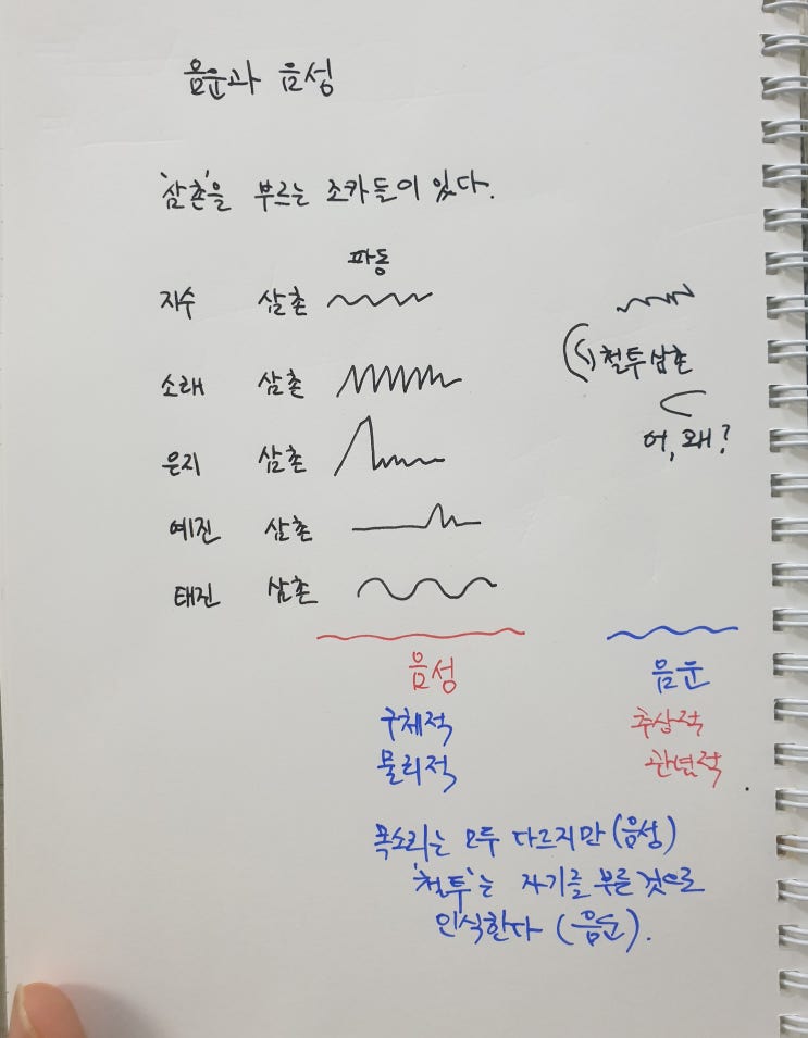  음운과 음성