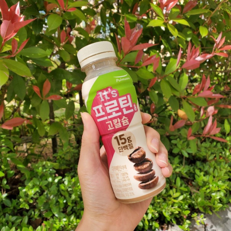  [엄선] 잇츠 프로틴 & 고칼슘 티 카페인 라떼