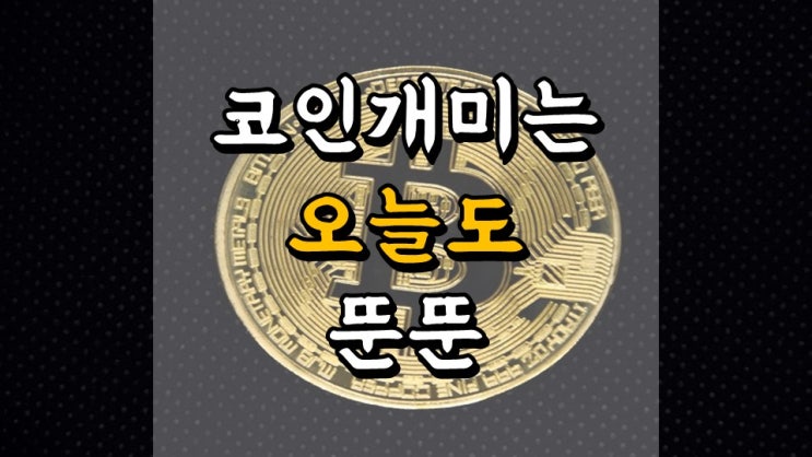  4 월 17 일 머니트리 앱테크일지 - 12 일차 수익 61 만원, 코인단타, 비트코인, 이더리움, 도지코인 시세
