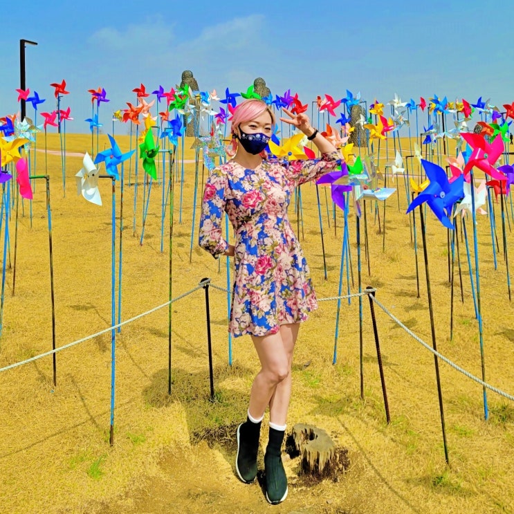  파주 임진각평화누리공원 다녀왔어요