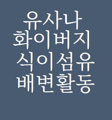 유사나 화이버지 식이섬유 똥이 안 나온다!! 큰일