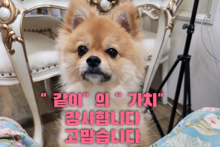  "같이" 가 주는 " 가치" - 카네이션 손수건 자수를 준비하면서..