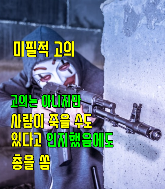  미필적고의에 의한 살인, 구형과 양형 뜻