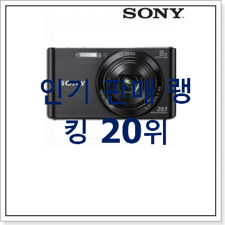 최후의 선택 소니카메라 선택 BEST 성능 TOP 20위 최후의 선택 소니카메라 선택 BEST 성능 TOP 20위