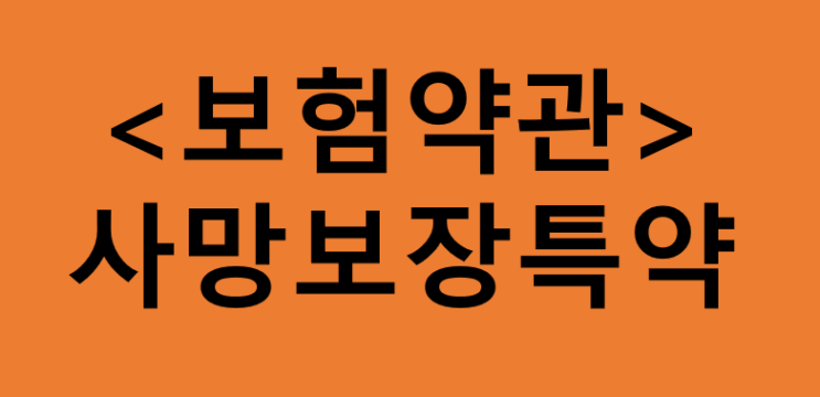  보험약관 내용 제대로 파악하기 / 사망보장특약 - 교통재해사망특약, 재해사망특약, 정기사망특약, 암사망특약