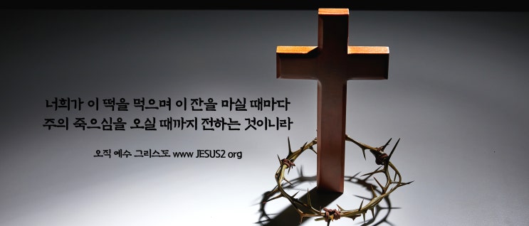 새일교회 난구절특강 | 43. 한 가지에 대하여 (사 11:1~)