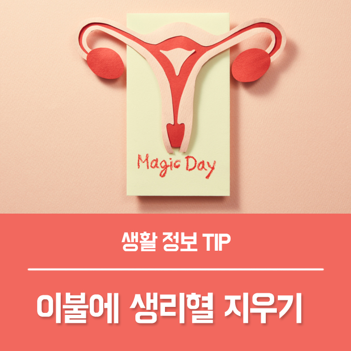  이불에 생리혈 지우기 방법 알려드려요~