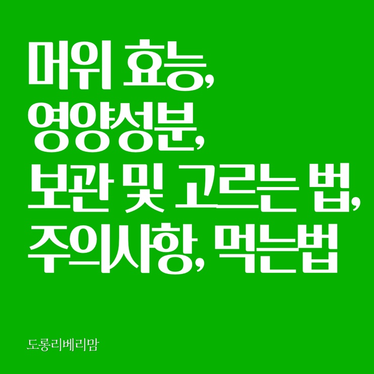  머위효능 머위뿌리효능 봄의전령사 머위