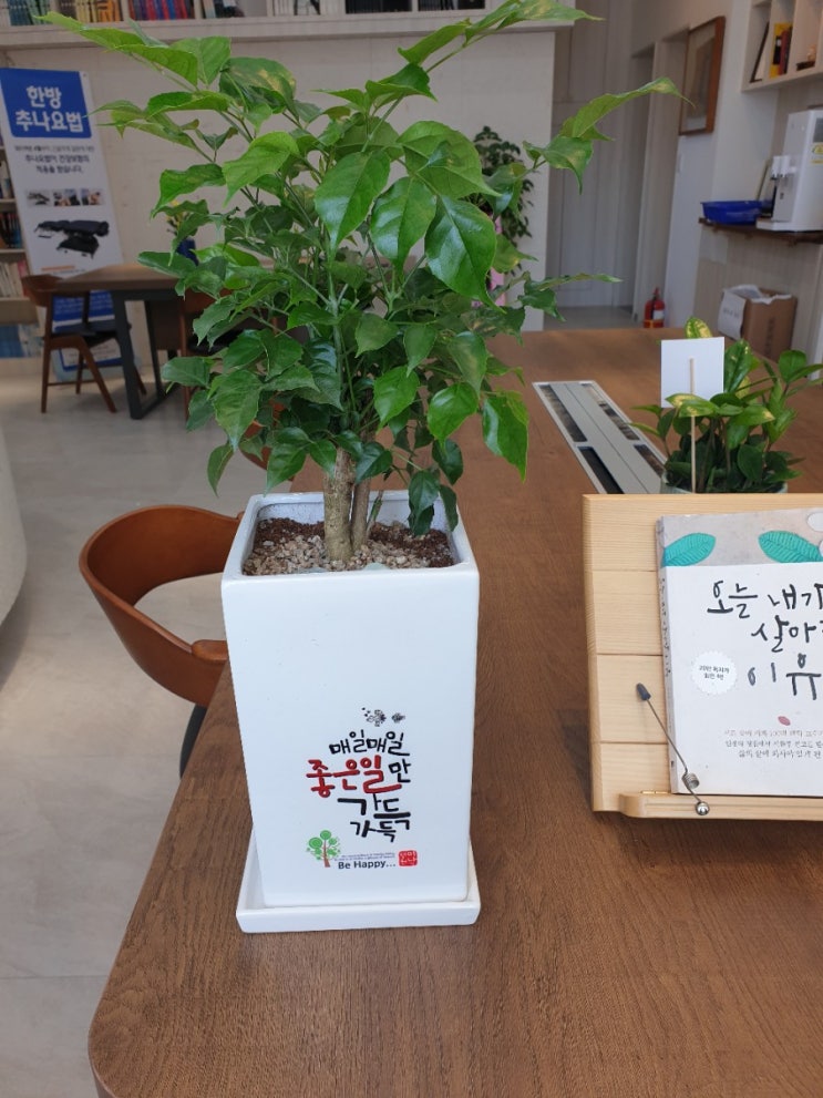  워킹맘으로 살아가기(1)