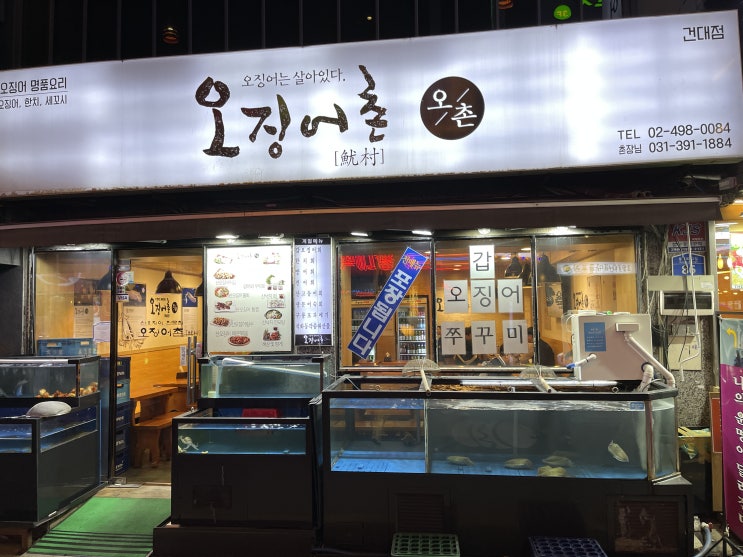  오징어촌 : 처음 먹어본 갑오징어회... 이런 맛이었구나