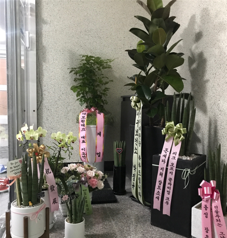  부산 중구 씨앗케어 재활교정센터 오픈 이야기