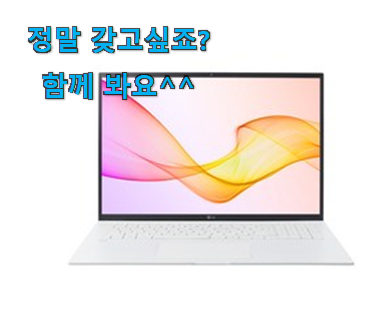 만족스러운 lg 그램 2021 good 물건 갖고싶네요.