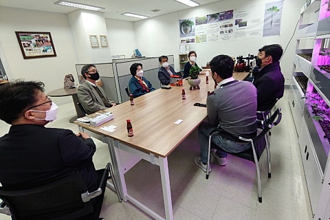 열우물새싹인삼 이미지