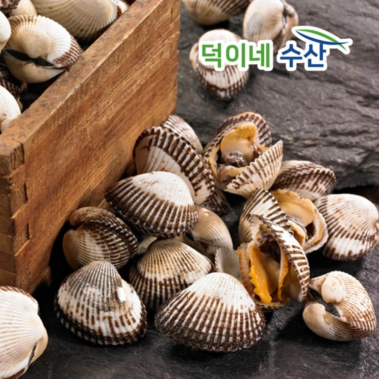 잘나가는 덕이네수산몰 100% 남해안 국내산 새 꼬막 2K 상품 1일특가, 1개 좋아요 잘나가는 덕이네수산몰 100% 남해안 국내산 새 꼬막 2K 상품 1일특가, 1개 좋아요