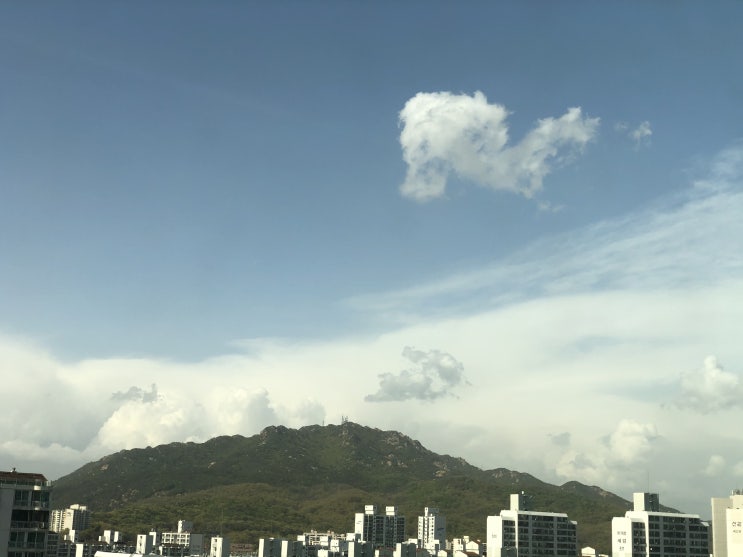  WonderFl 새벽수련, 아침 에너지 활짝 받아 활기찬 하루