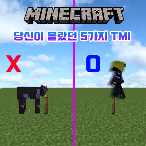  마인크래프트 당신이 몰랐을 5가지 TMI/팁