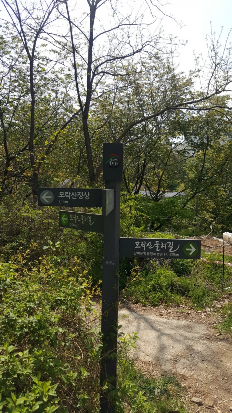  모락산 등산 ( 내손1동 주민센터 --> 사인암 -->계원예술대 후문)
