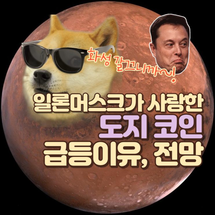  일론 머스크의 도지 코인 전망, 호재 알아보자