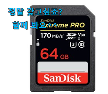 정직한 SD 메모리 카드 인싸템 와이프도 좋아하네요 정직한 SD 메모리 카드 인싸템 와이프도 좋아하네요