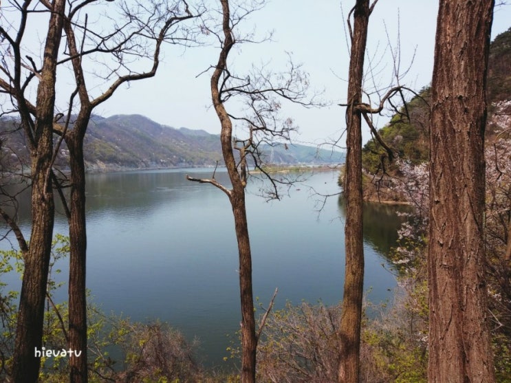  춘천 의암호 스카이워크 랜선여행 chuncheon skywalk trip