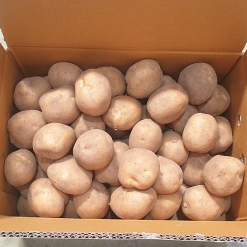 가성비 뛰어난 2020년 햇감자 두백감자 중사이즈 20kg 10kg, 1박스 추천합니다 가성비 뛰어난 2020년 햇감자 두백감자 중사이즈 20kg 10kg, 1박스 추천합니다
