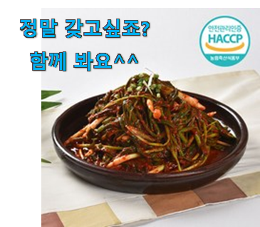 인생템 곰곰 파김치 신상 꿀템 요즘 이거 없이는 못살겠어요 ㅎㅎ 인생템 곰곰 파김치 신상 꿀템 요즘 이거 없이는 못살겠어요 ㅎㅎ
