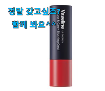 소유하고파 바세린립 만족꿀템 선물로도 좋을거같네요 소유하고파 바세린립 만족꿀템 선물로도 좋을거같네요