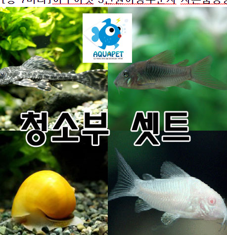  즉시구매 어항 청소 물고기 요즘 대세죠 가성비 찐이다. 인기순위 1~20 !!!