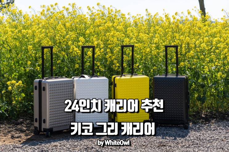  캐리어 추천 24인치 키코 그리와 함께한 제주여행