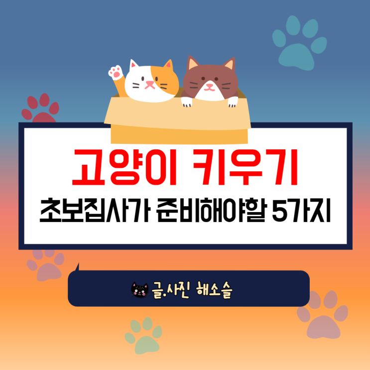  고양이 키우기 위한 초보집사가 준비하고 알아야할 5가지
