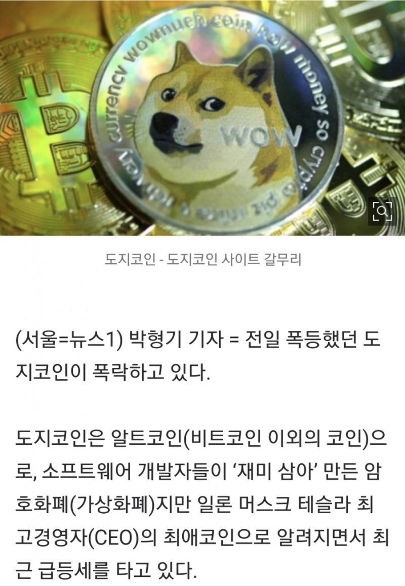 대박이면 한강뷰 vs 쪽박이면 한강변 (feat.정체모를 DOGe코인) : 네이버 블로그