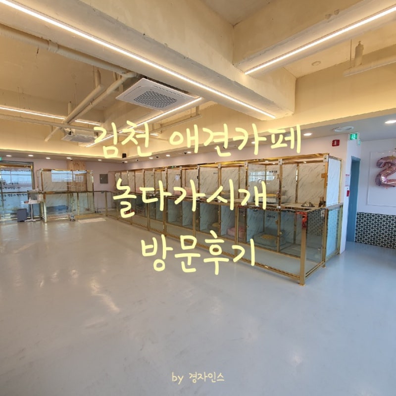 사진 3