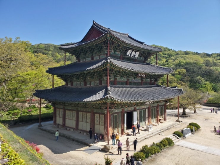  김제 가볼만한 곳 금산사 ft 미륵전