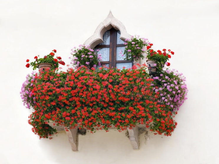 창가 창문 꽃 장식 발코니 플라워박스 화초 데코레이션