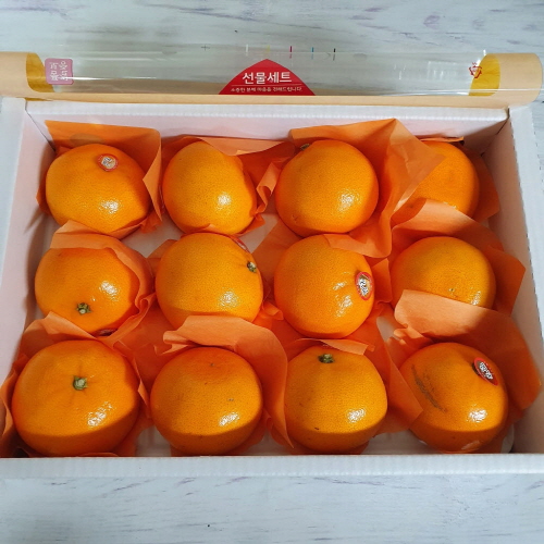 가성비 좋은 제주 천혜향 3kg 특 선물용 (11~15과) ··· 가성비 좋은 제주 천혜향 3kg 특 선물용 (11~15과) ···