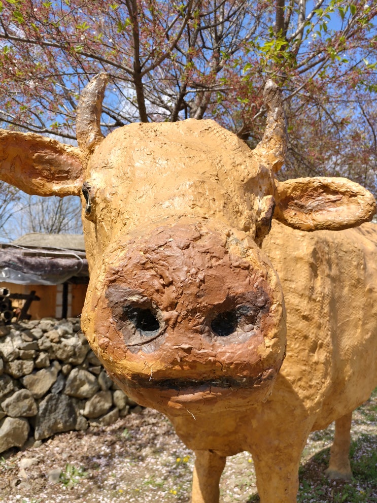  파주 율곡습지공원 4월 풍경