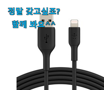 비교선택 벨킨 아이폰 케이블 만족꿀템 정말 신뢰가 가죠! 비교선택 벨킨 아이폰 케이블 만족꿀템 정말 신뢰가 가죠!