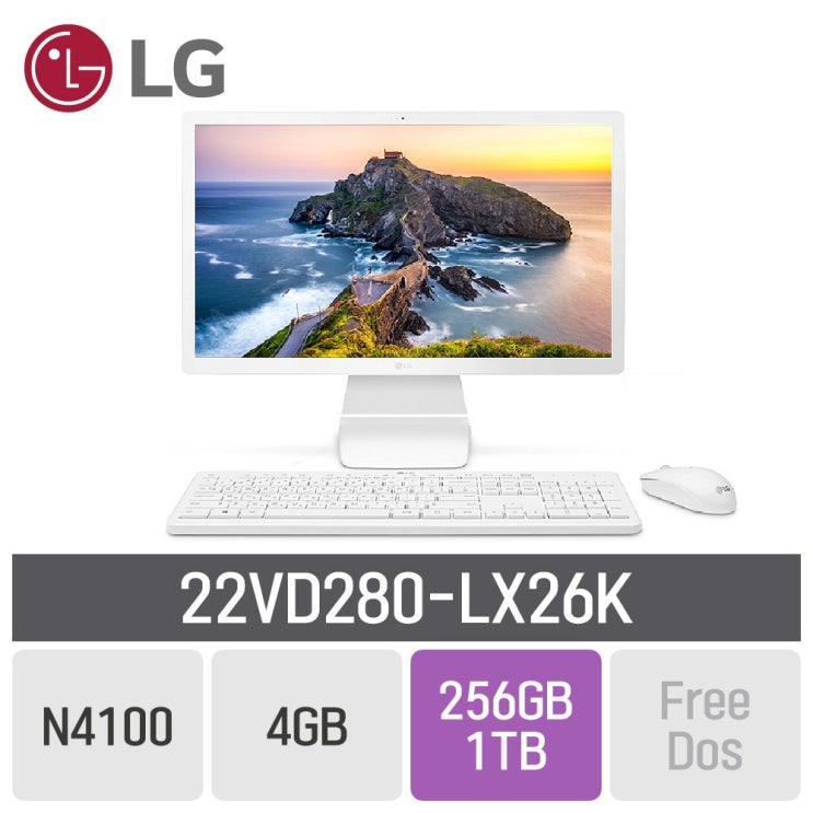 의외로 인기있는 LG 일체형PC 22인치 22VD280-LX26K, RAM 4GB + SSD 256GB + HDD 1TB 추천해요