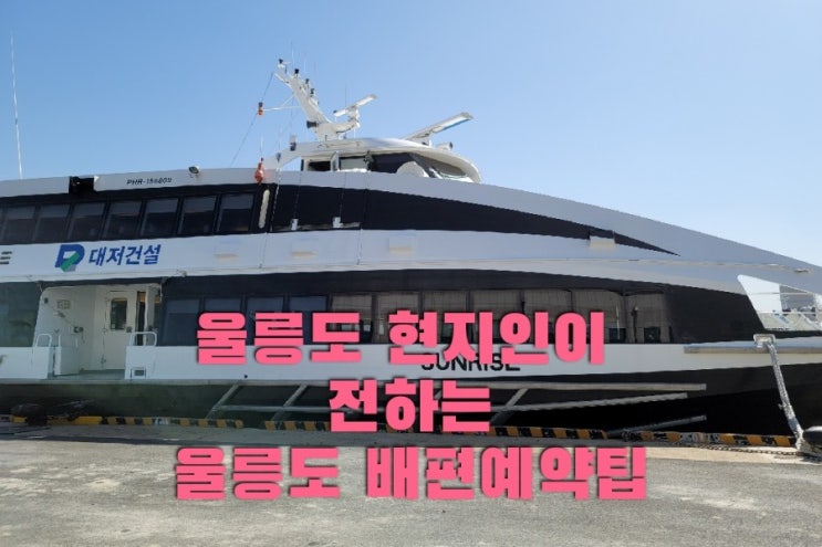  울릉도 여행  배편 이용해서  울릉도 가는법. 예약부터 발권까지