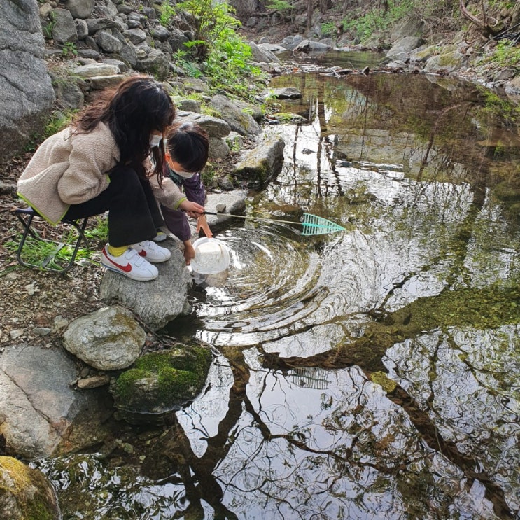  주말에 양평 할함미집가서 24시간 놀고오기:))